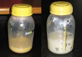 Tìm hiểu về các loại sữa trong giai đoạn đầu sau sinh.