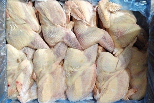 Khám phá tường tận thực hư lời đồn về chất lượng thịt gà đông lạnh (2)