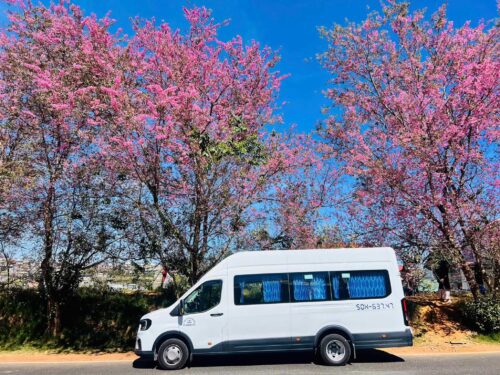 Dịch Vụ Thuê Xe 18 Chỗ Đưa Đón Sân Bay có đa dạng loại xe